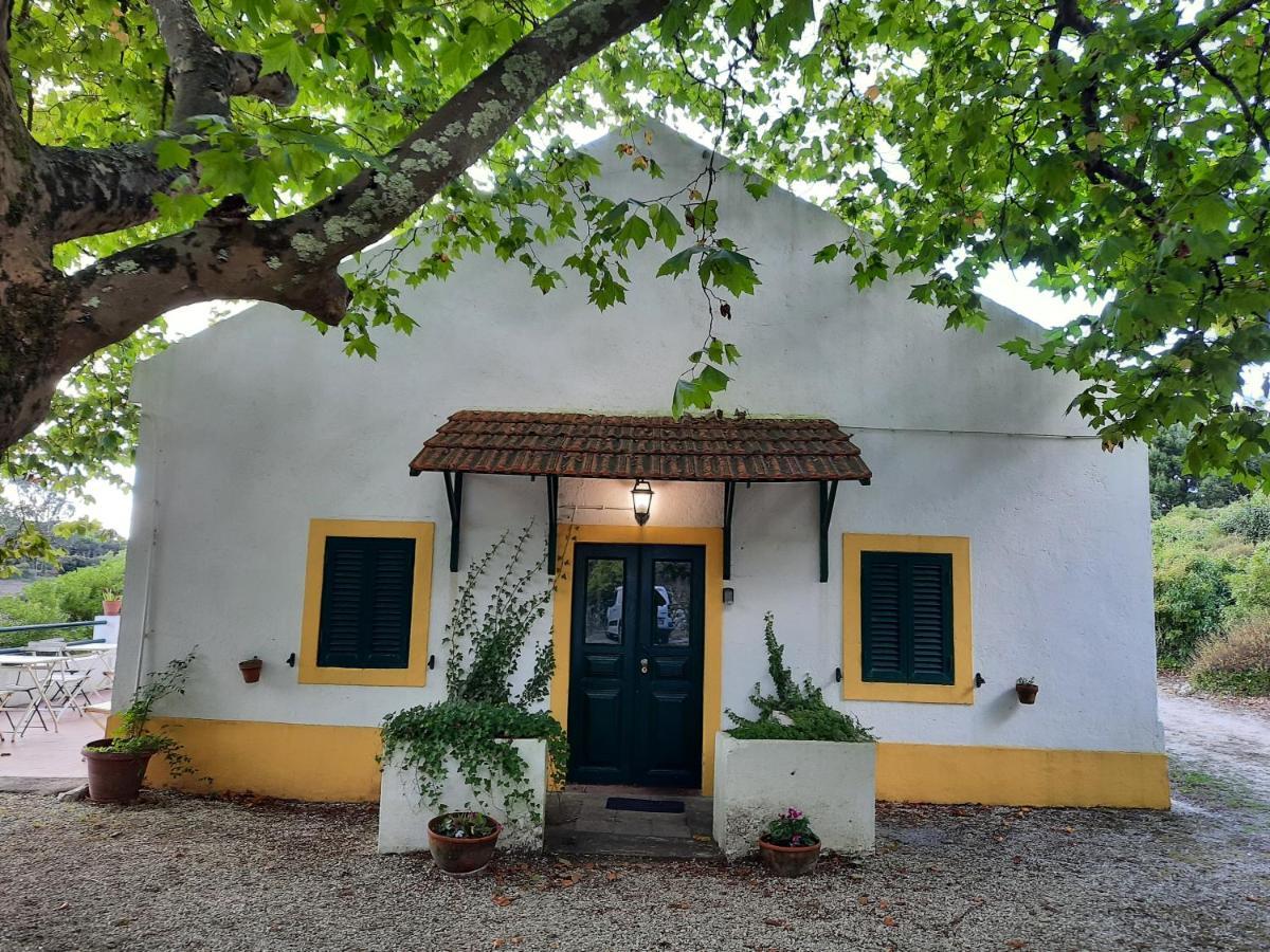 Montejunto Villas - Casa Do Platano Cadaval 外观 照片