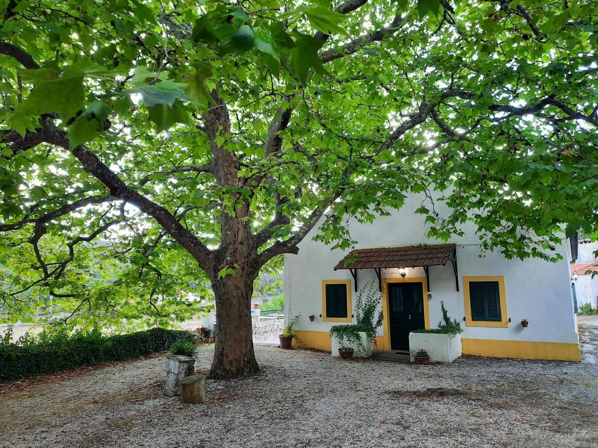 Montejunto Villas - Casa Do Platano Cadaval 外观 照片