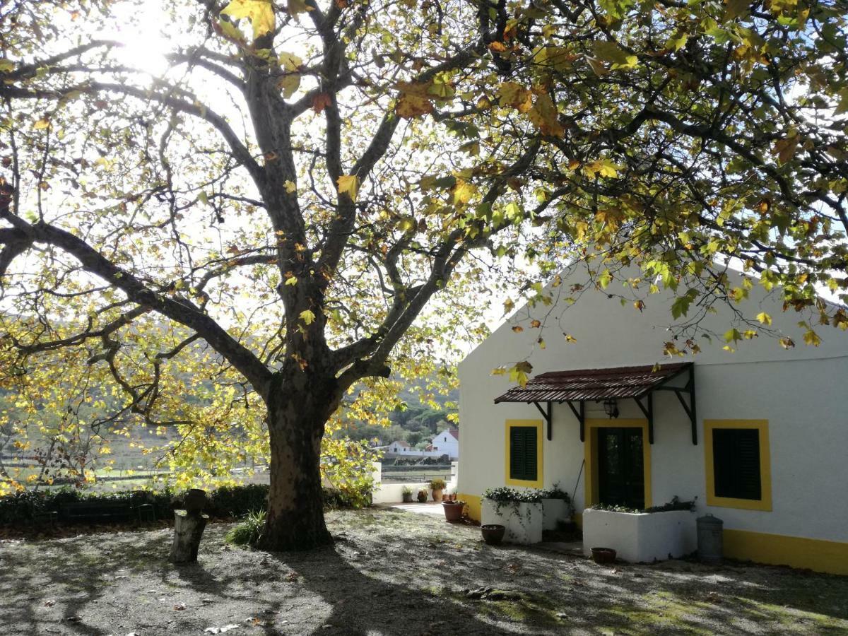 Montejunto Villas - Casa Do Platano Cadaval 外观 照片