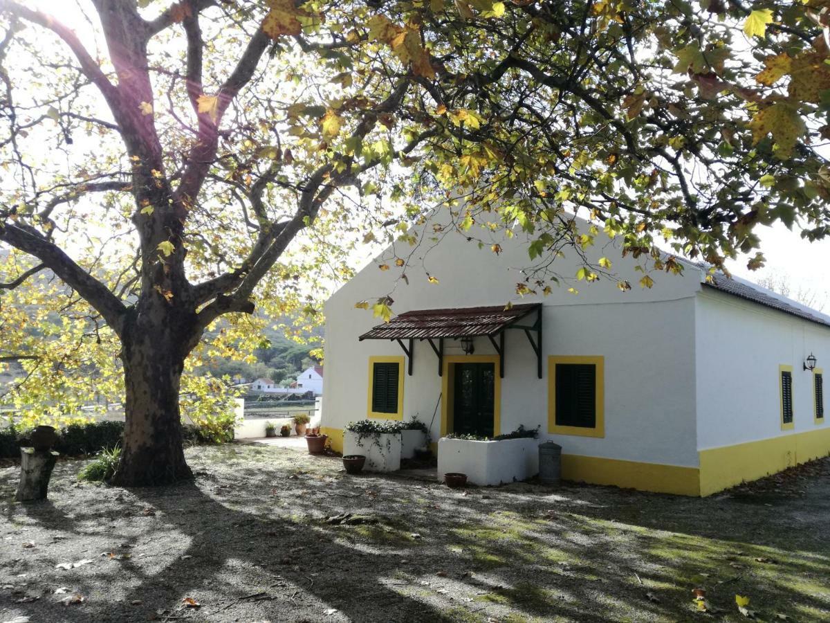Montejunto Villas - Casa Do Platano Cadaval 外观 照片