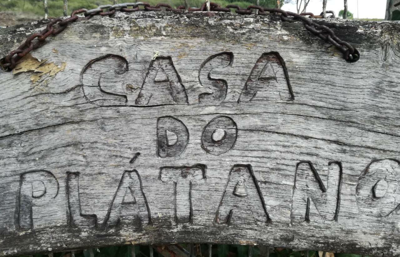 Montejunto Villas - Casa Do Platano Cadaval 外观 照片