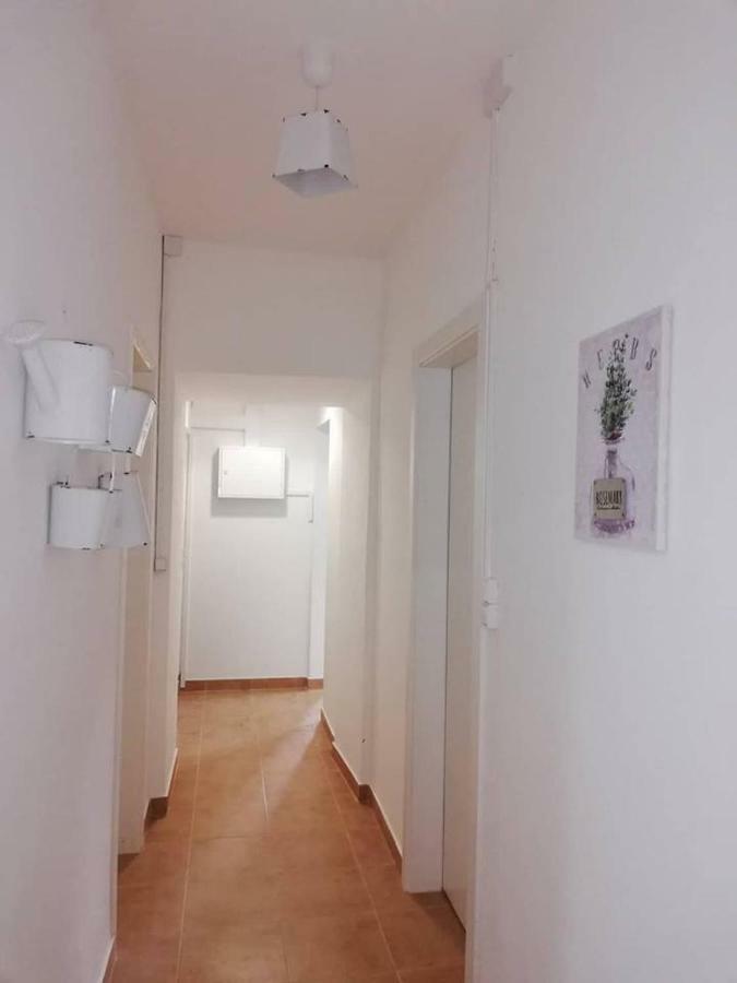 Montejunto Villas - Casa Do Platano Cadaval 外观 照片