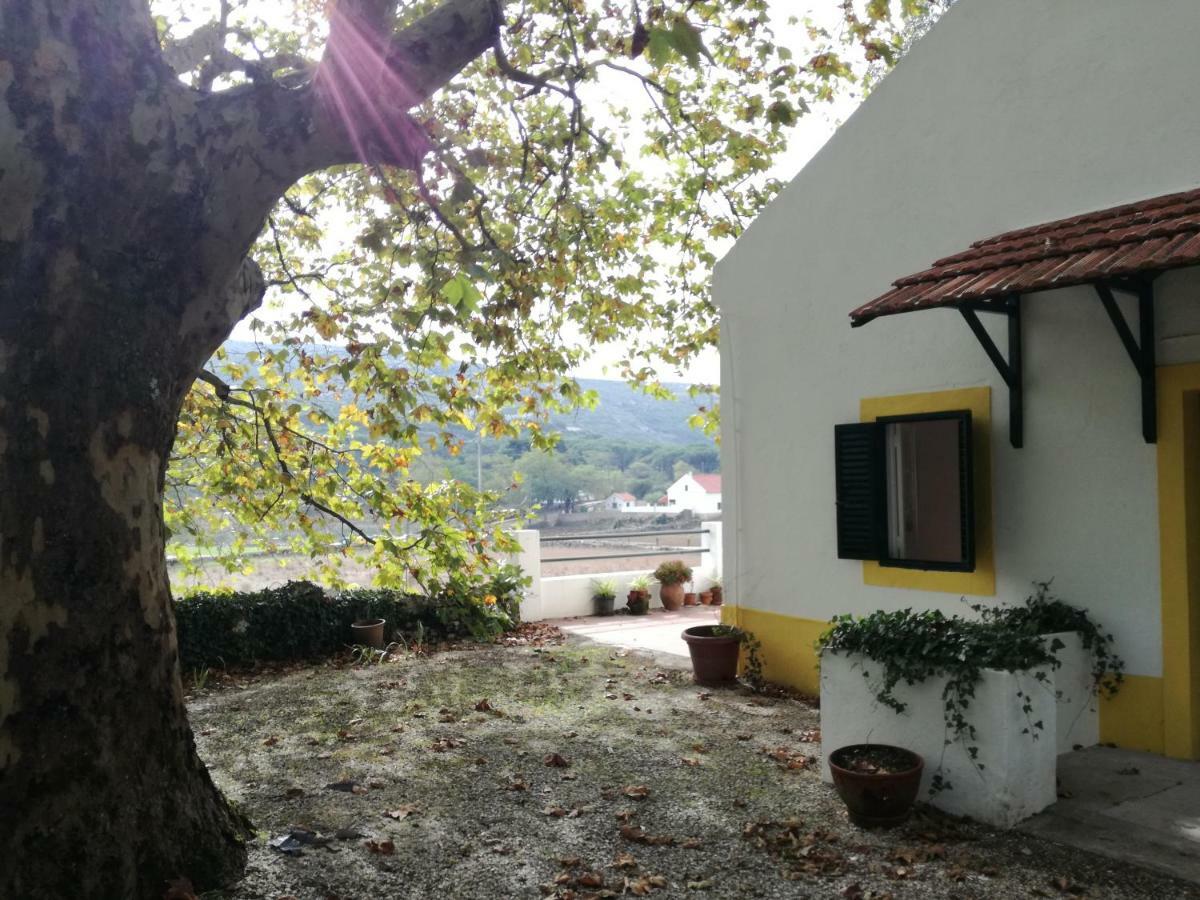 Montejunto Villas - Casa Do Platano Cadaval 外观 照片